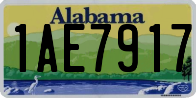 AL license plate 1AE7917
