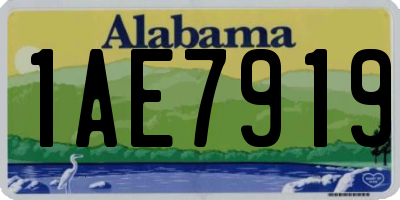 AL license plate 1AE7919