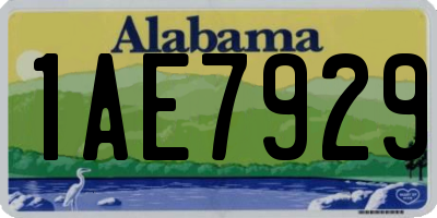 AL license plate 1AE7929