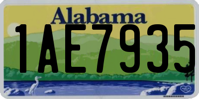 AL license plate 1AE7935