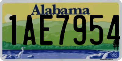 AL license plate 1AE7954