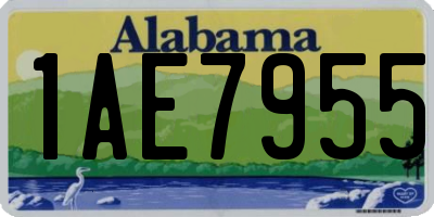 AL license plate 1AE7955
