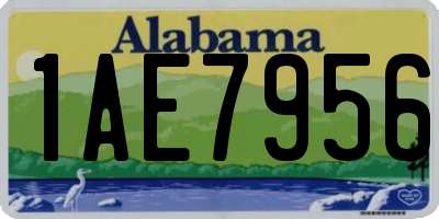 AL license plate 1AE7956