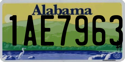 AL license plate 1AE7963