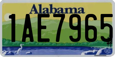 AL license plate 1AE7965