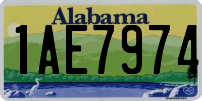 AL license plate 1AE7974