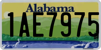 AL license plate 1AE7975