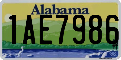 AL license plate 1AE7986