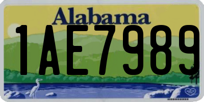 AL license plate 1AE7989