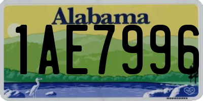 AL license plate 1AE7996
