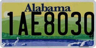 AL license plate 1AE8030