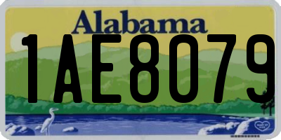 AL license plate 1AE8079