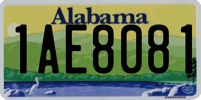 AL license plate 1AE8081