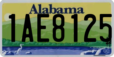 AL license plate 1AE8125