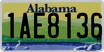 AL license plate 1AE8136