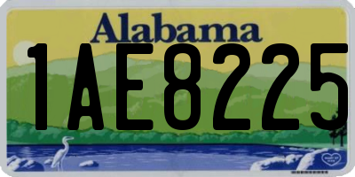 AL license plate 1AE8225