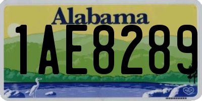 AL license plate 1AE8289