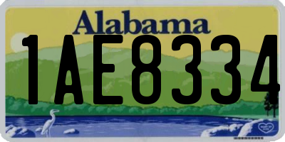 AL license plate 1AE8334