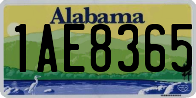AL license plate 1AE8365
