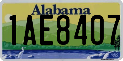 AL license plate 1AE8407
