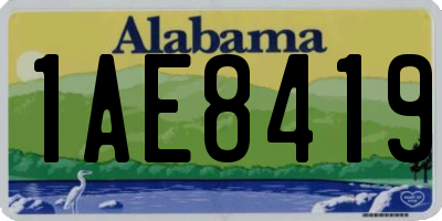 AL license plate 1AE8419