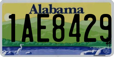 AL license plate 1AE8429