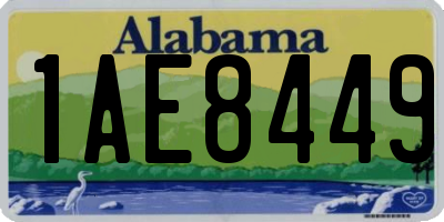 AL license plate 1AE8449