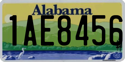 AL license plate 1AE8456