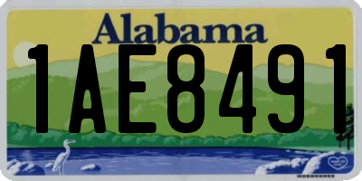 AL license plate 1AE8491