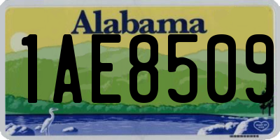 AL license plate 1AE8509