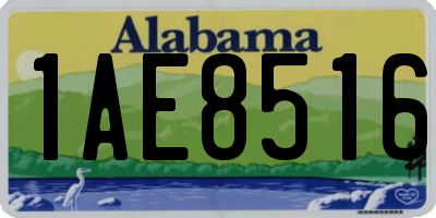 AL license plate 1AE8516