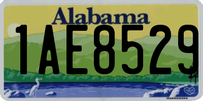 AL license plate 1AE8529