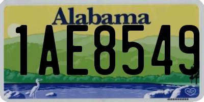 AL license plate 1AE8549