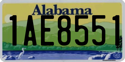 AL license plate 1AE8551