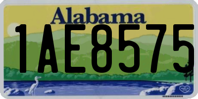 AL license plate 1AE8575