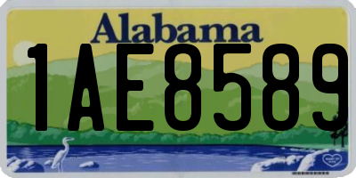 AL license plate 1AE8589