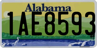 AL license plate 1AE8593
