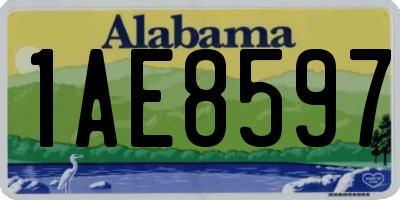 AL license plate 1AE8597