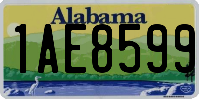 AL license plate 1AE8599