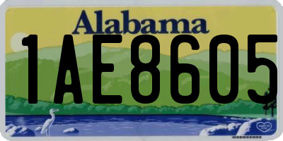 AL license plate 1AE8605