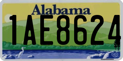 AL license plate 1AE8624
