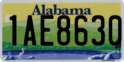 AL license plate 1AE8630