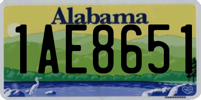 AL license plate 1AE8651