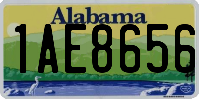AL license plate 1AE8656