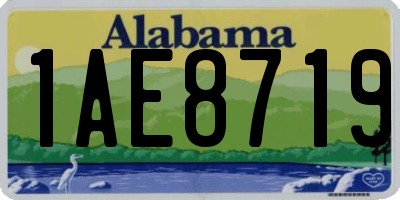 AL license plate 1AE8719