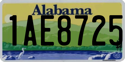AL license plate 1AE8725