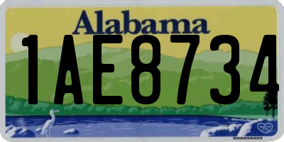 AL license plate 1AE8734