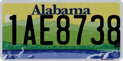AL license plate 1AE8738