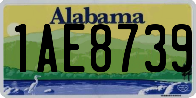 AL license plate 1AE8739