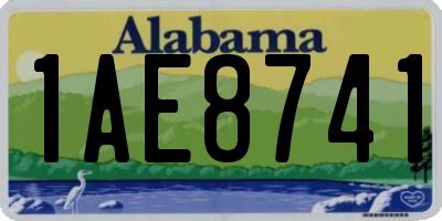 AL license plate 1AE8741